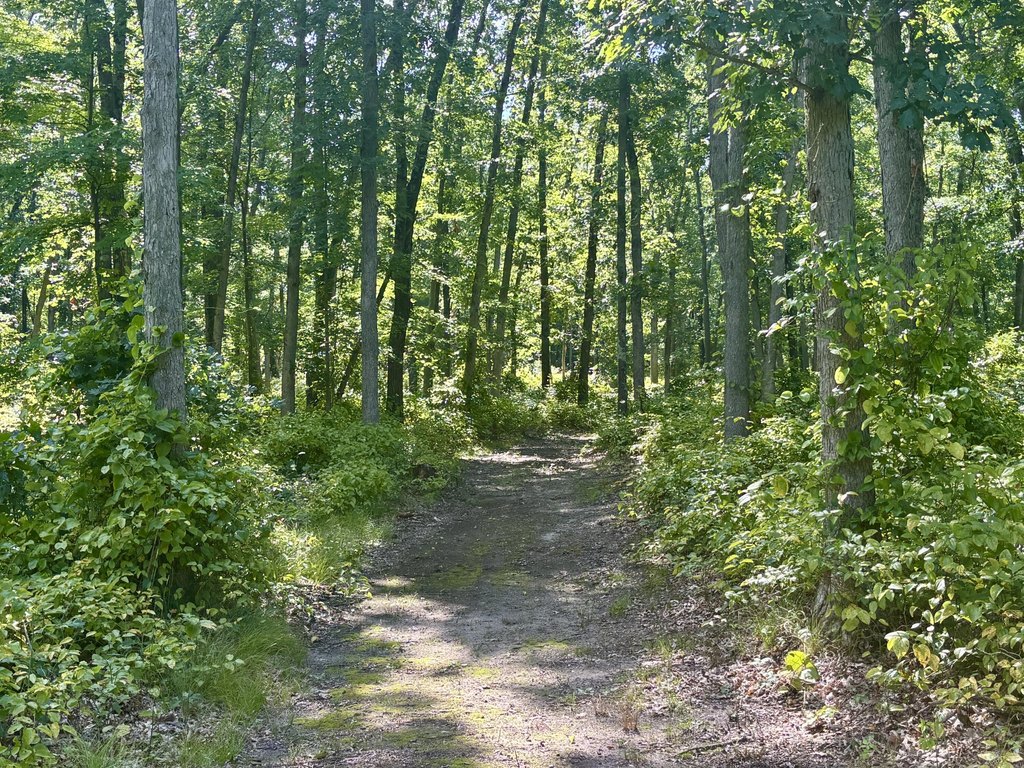 Picture 19
