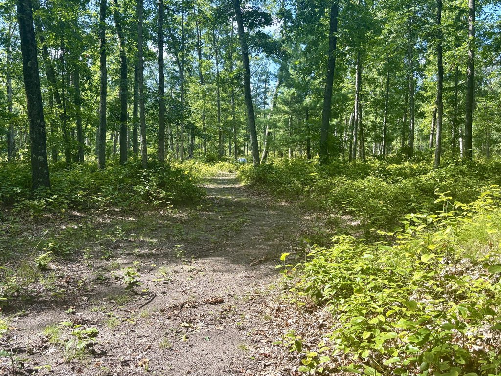 Picture 27