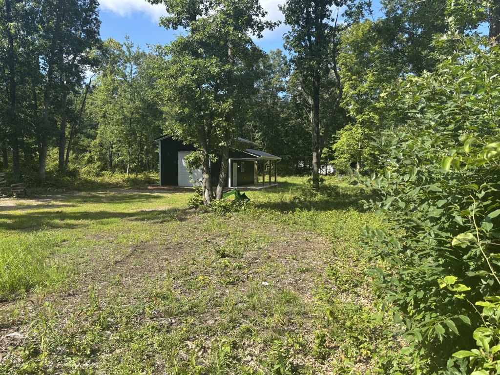 Picture 40