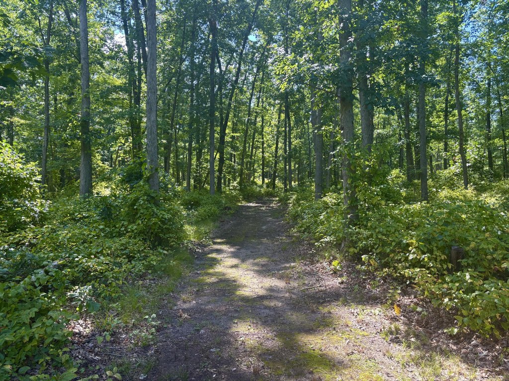 Picture 18