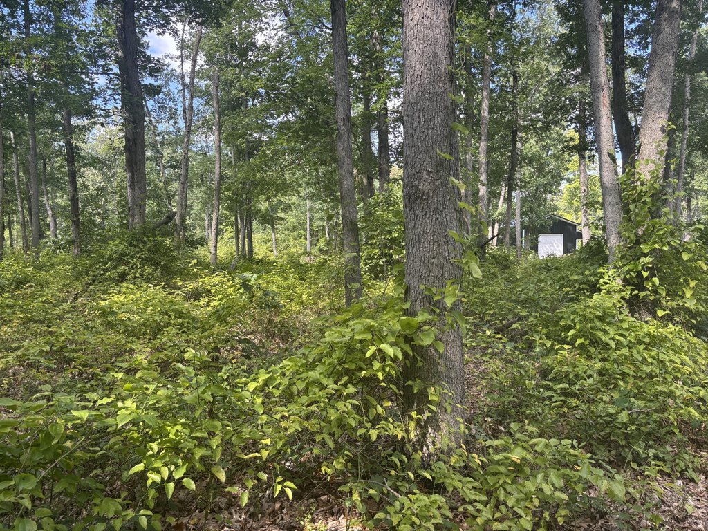 Picture 29