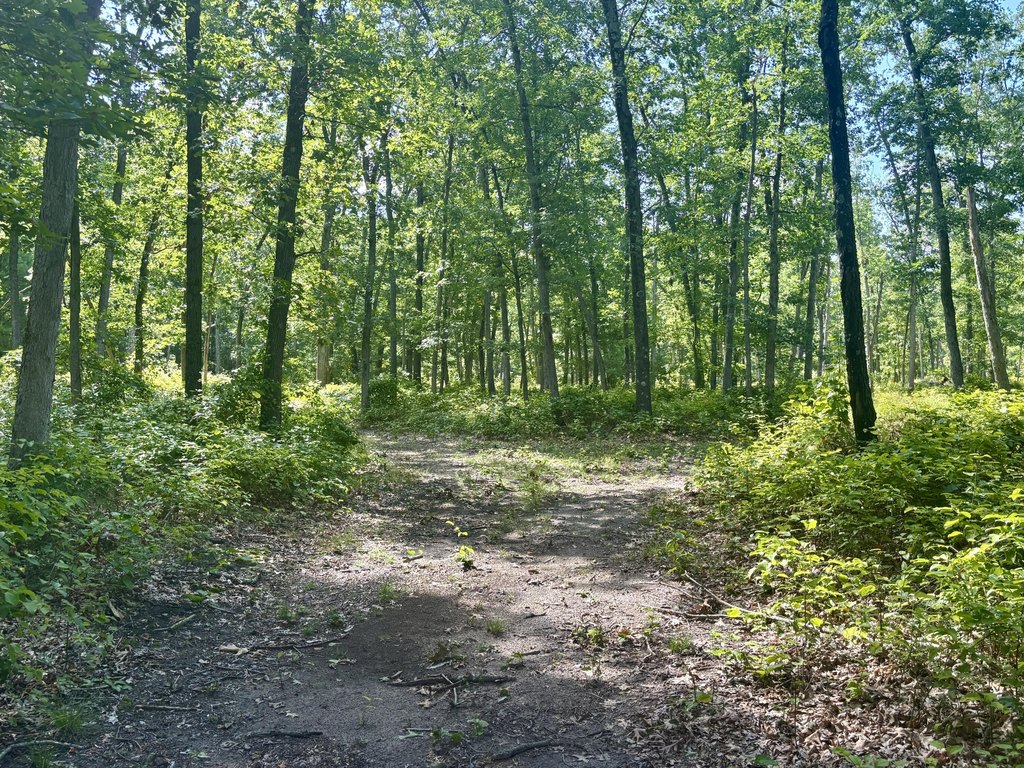 Picture 23