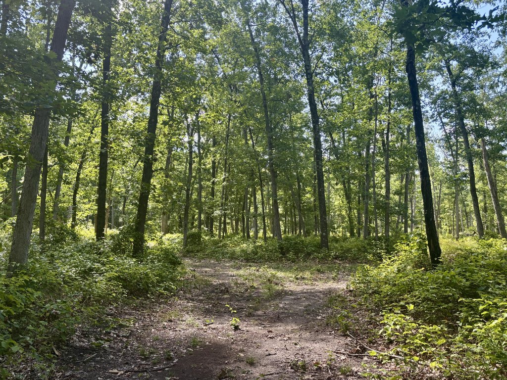 Picture 24