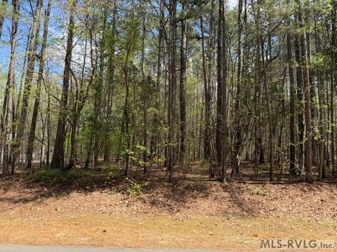 Wooded Lot Near Lake Gaston