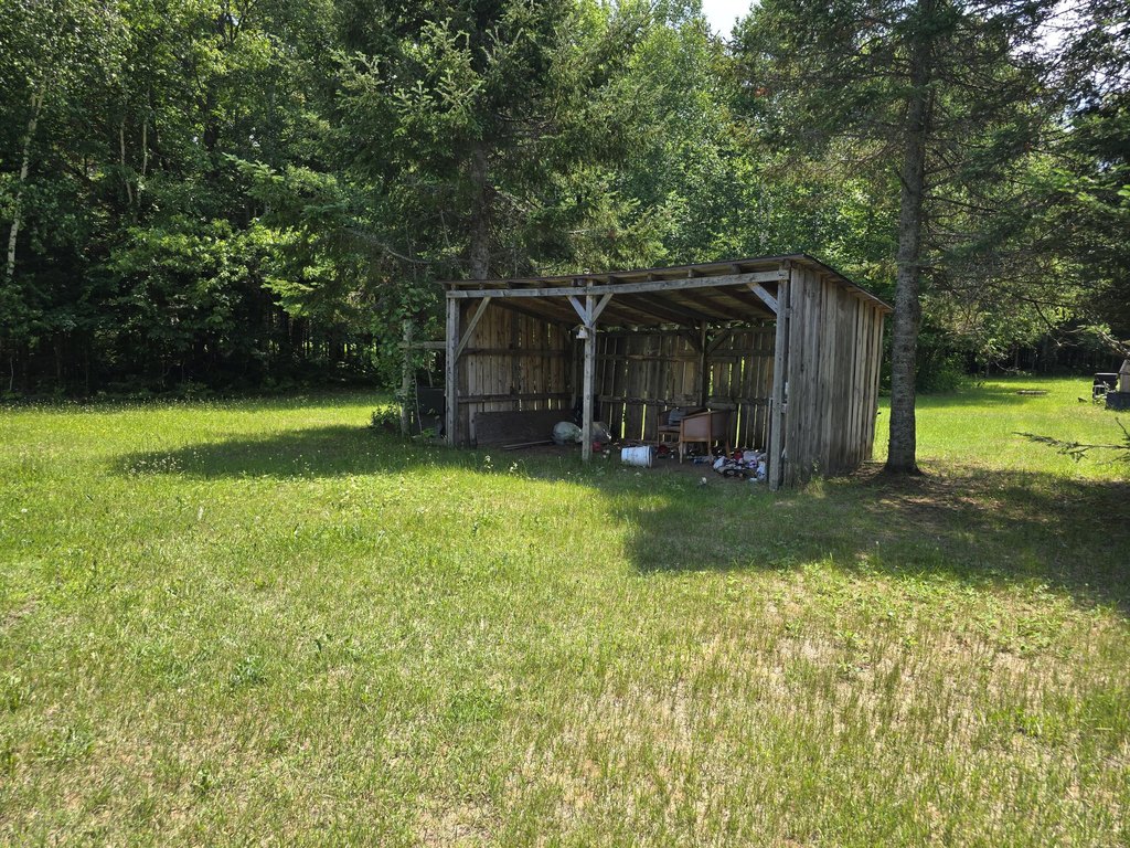 Picture 28