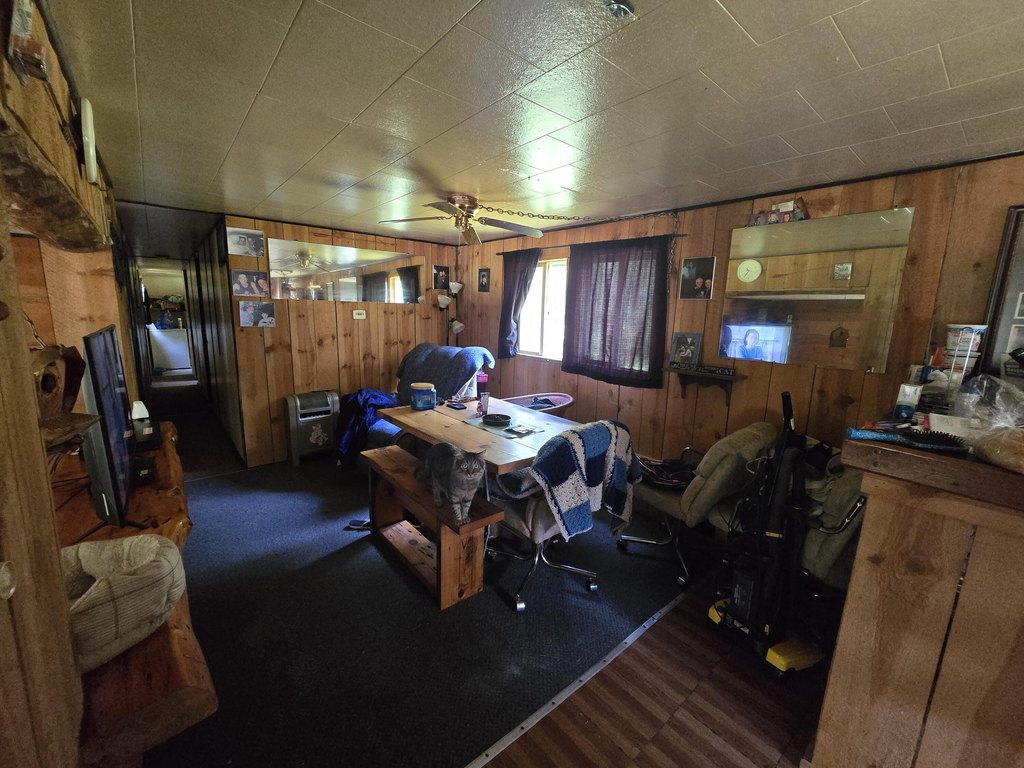 Picture 5