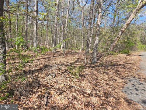 Accokeek Land Development Opportunity