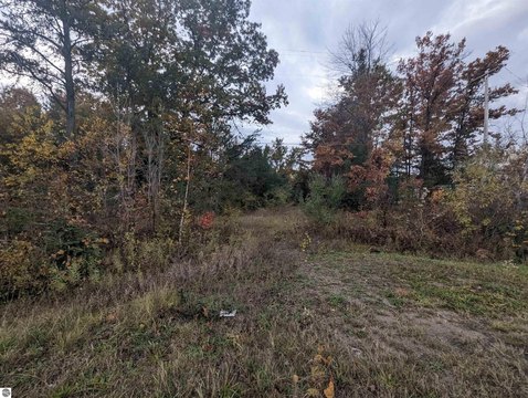 Wooded Commercial Land Parcel