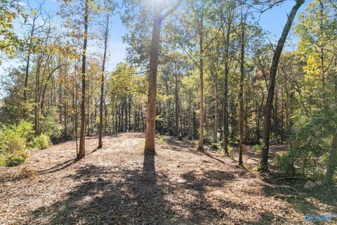 Three Acre Parcel in Arab