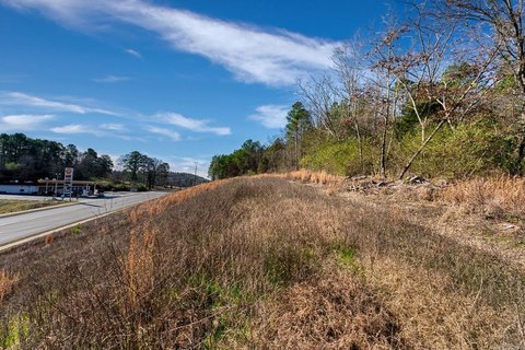 Hot Springs Commercial Land