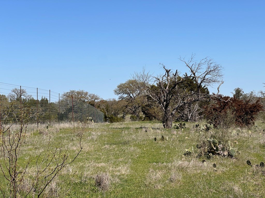 Picture 25