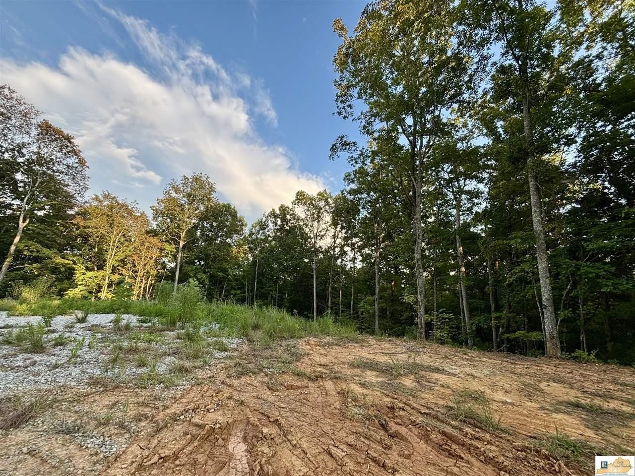 Wooded Land Near Dale Hollow
