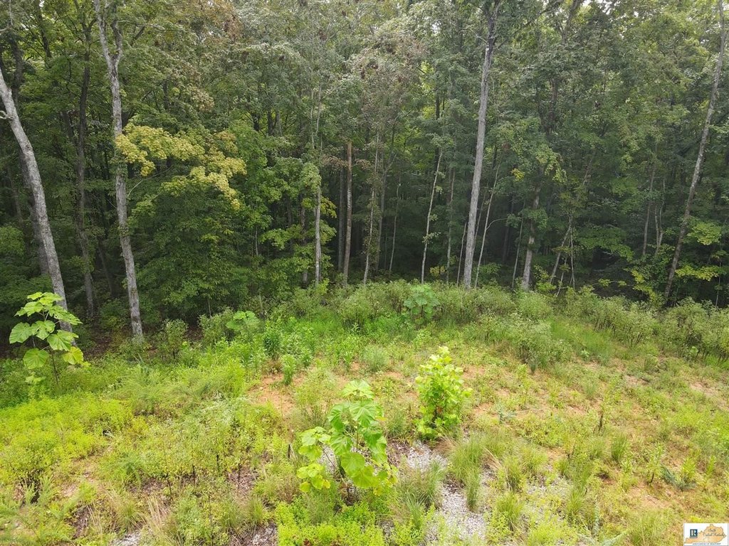 Picture 25