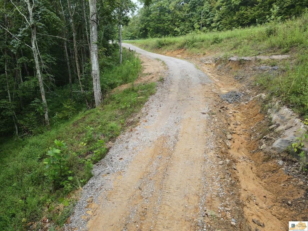 Picture 14
