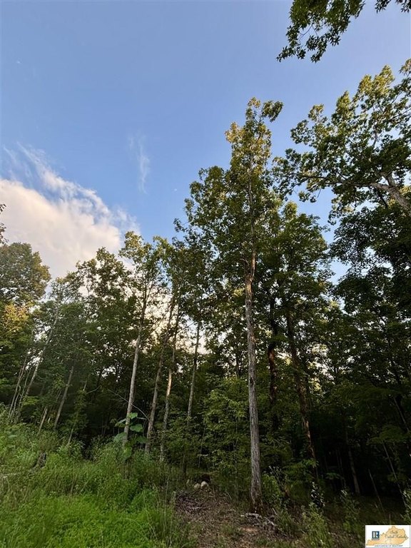 Picture 18