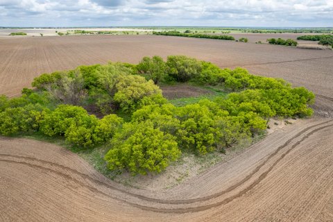 Productive Farmland with Road Frontage