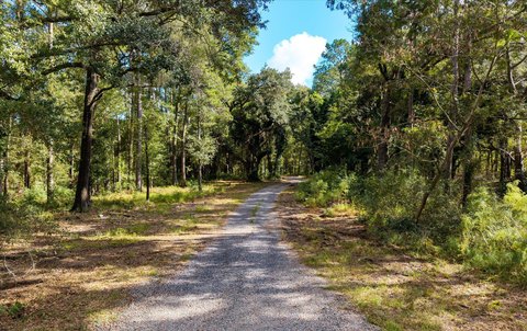 Johns Island Land for Dream Home