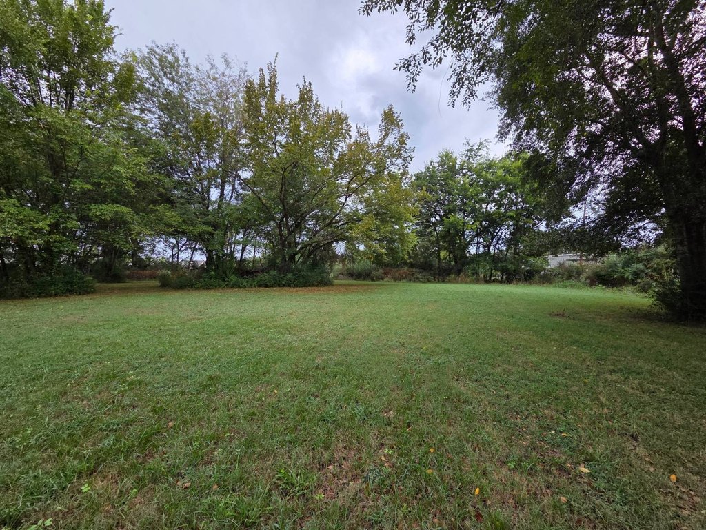Picture 15