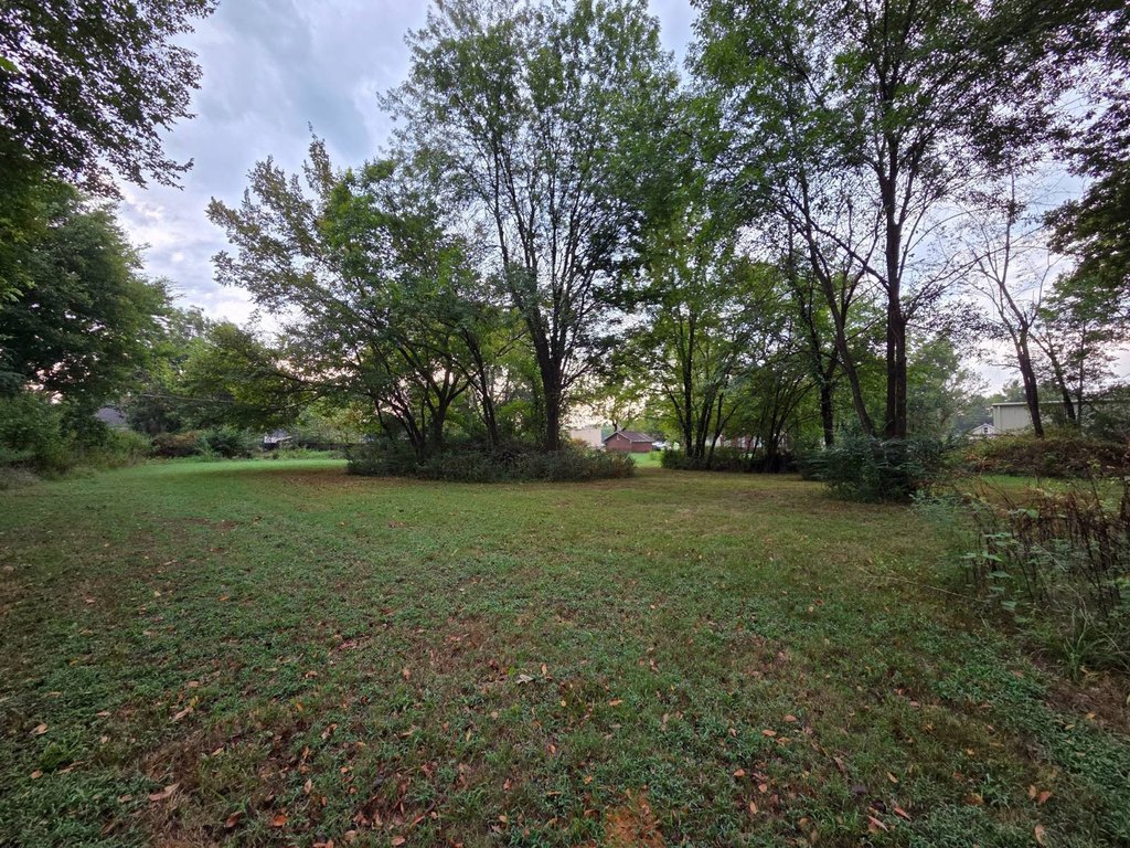 Picture 22