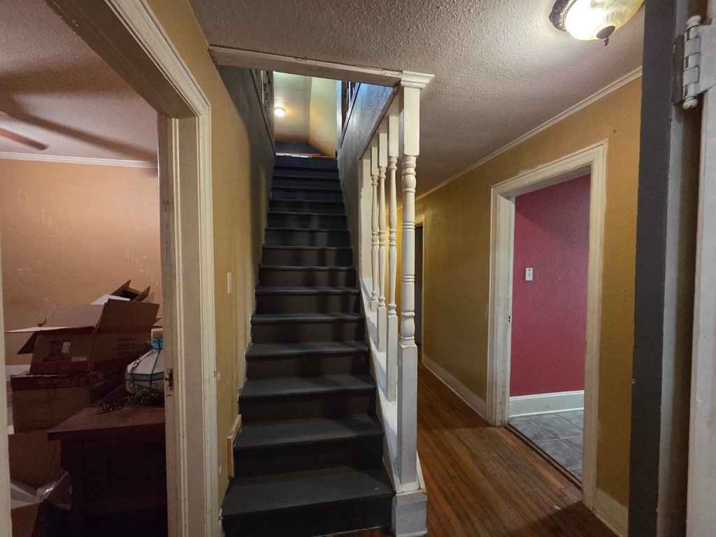 Picture 27
