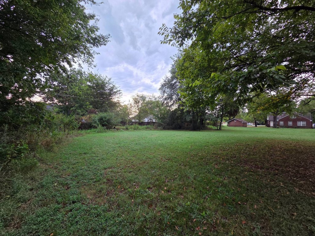 Picture 21