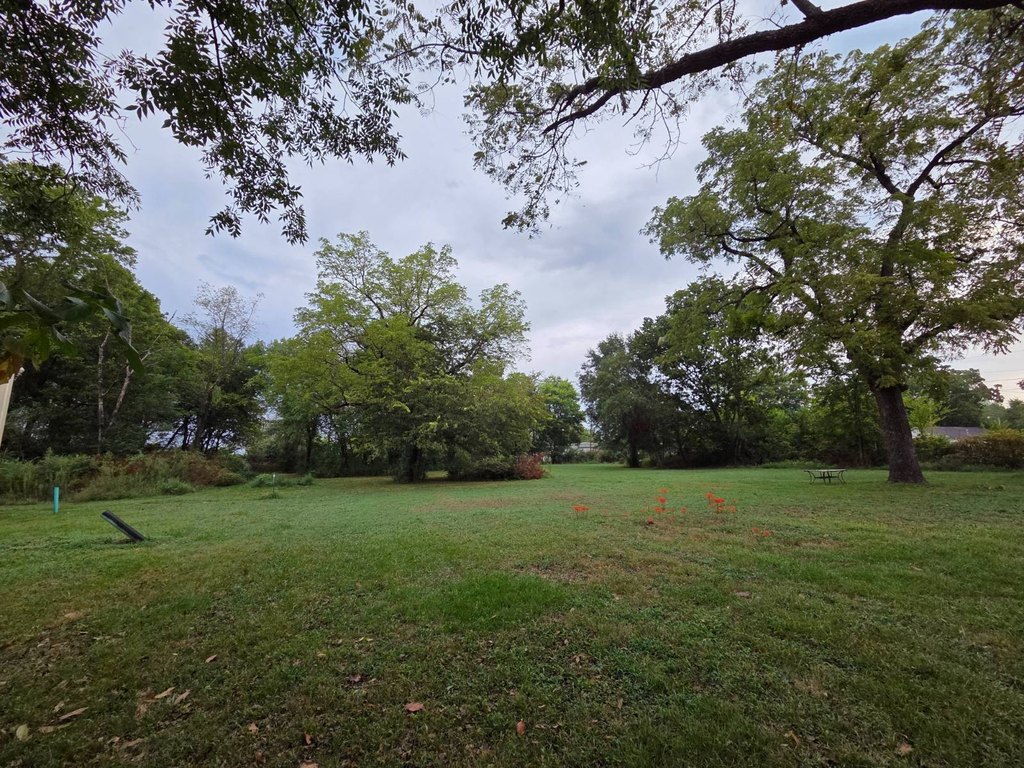 Picture 24