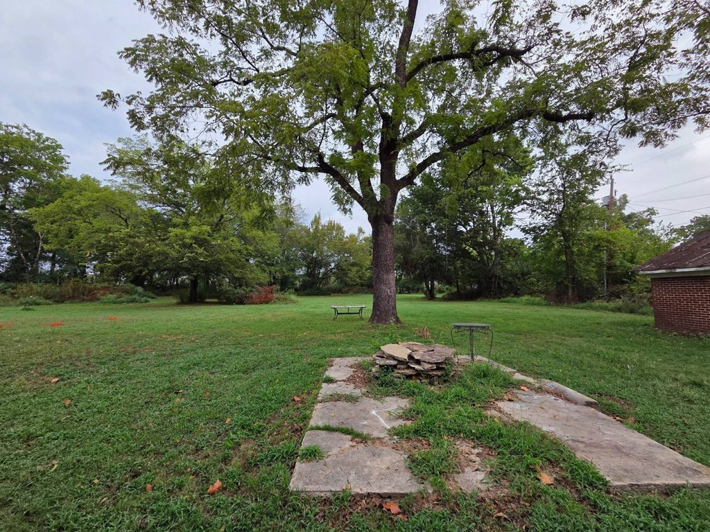 Picture 25