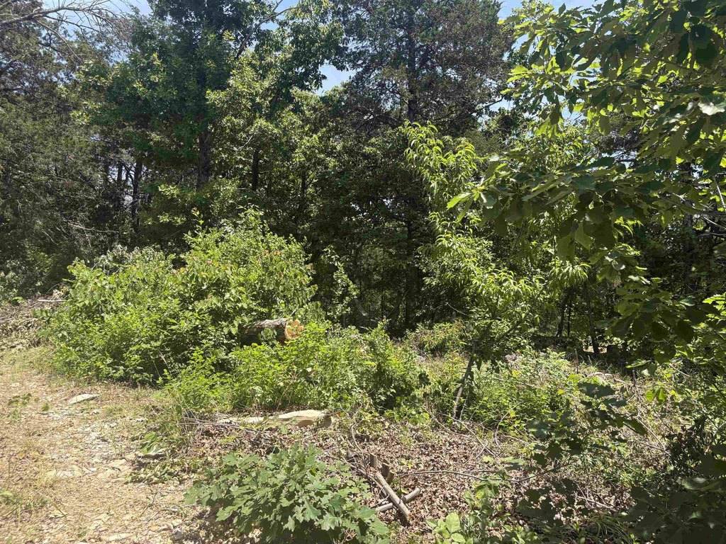 Picture 15