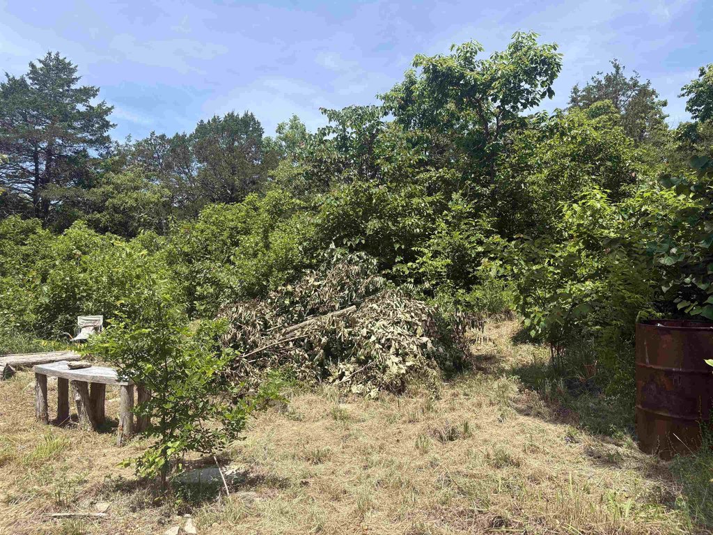 Picture 19