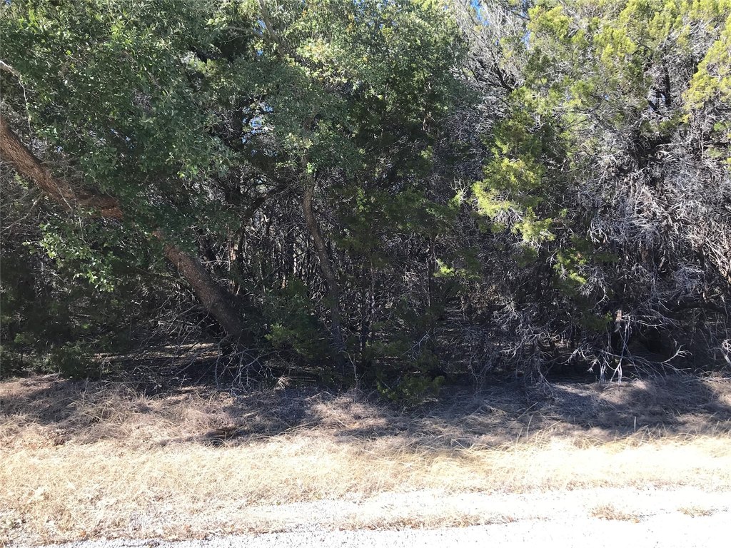 Picture 12