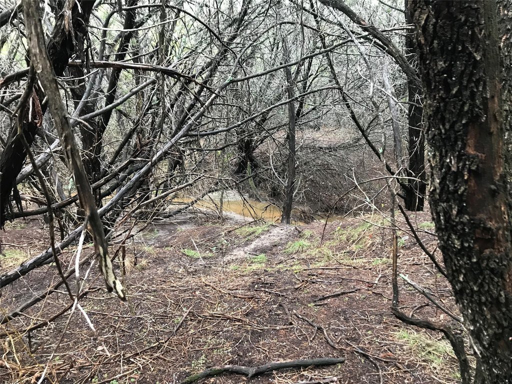 Picture 16