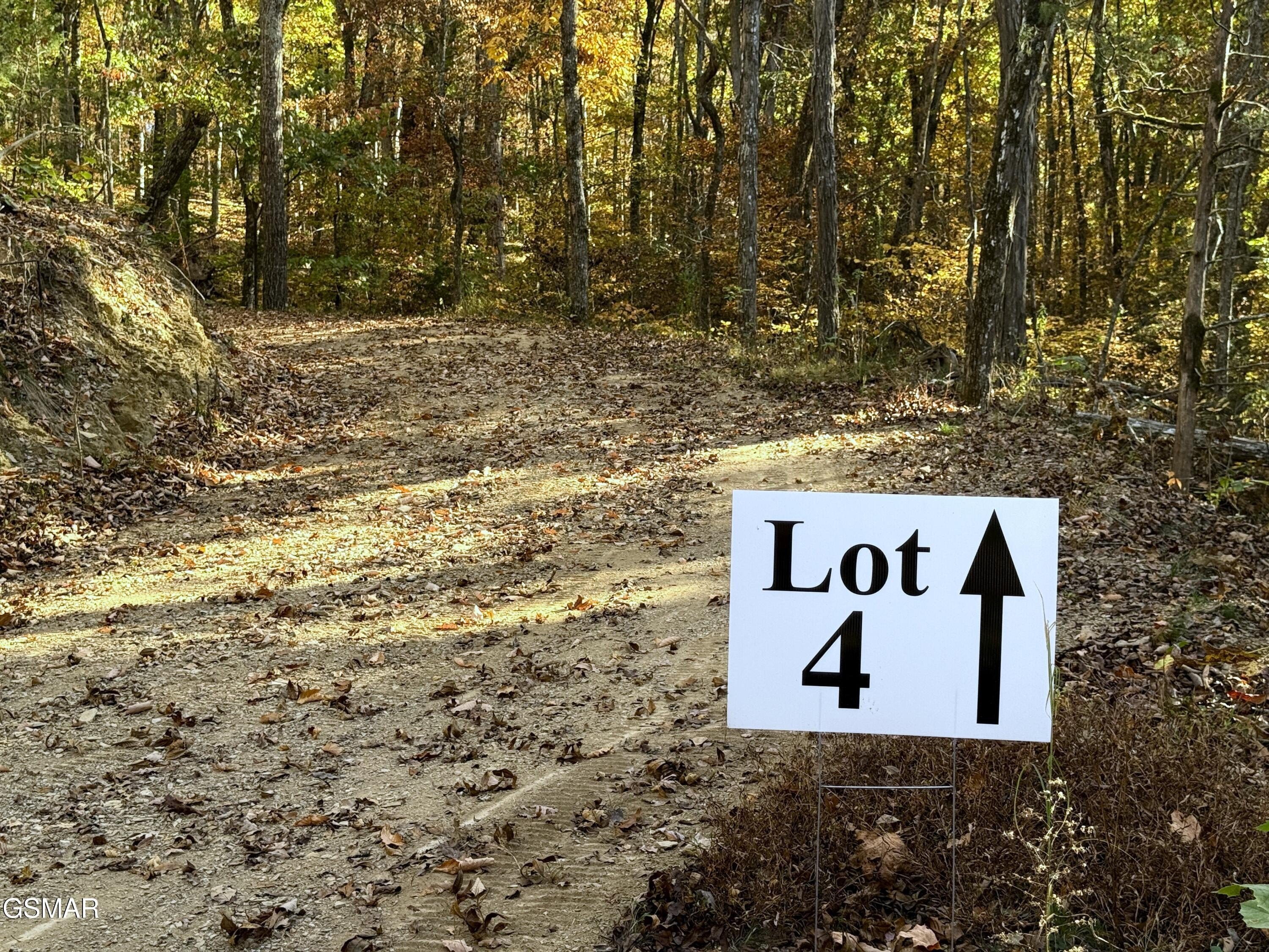 Parrottsville Land Ideal for Homesteading