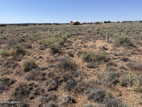 LAND - Snowflake, AZ