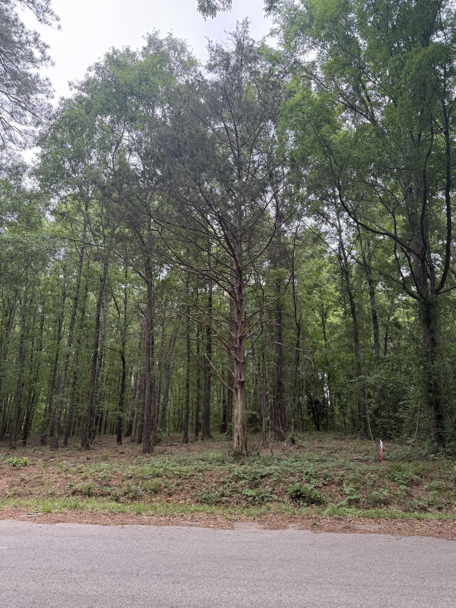 Edgefield Homesite on 2.25 Acres