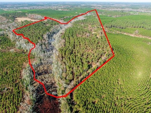 Hunting Land Tract