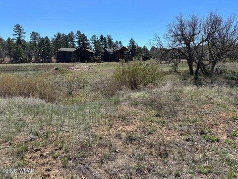 Lakeside Lot in Torreon, Show
