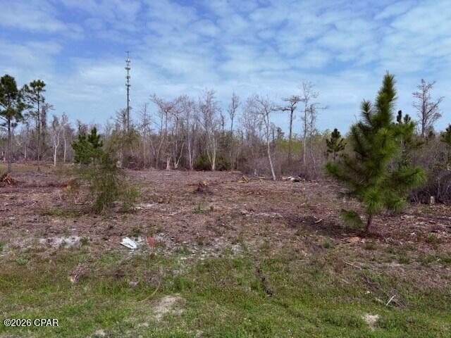 Picture 9