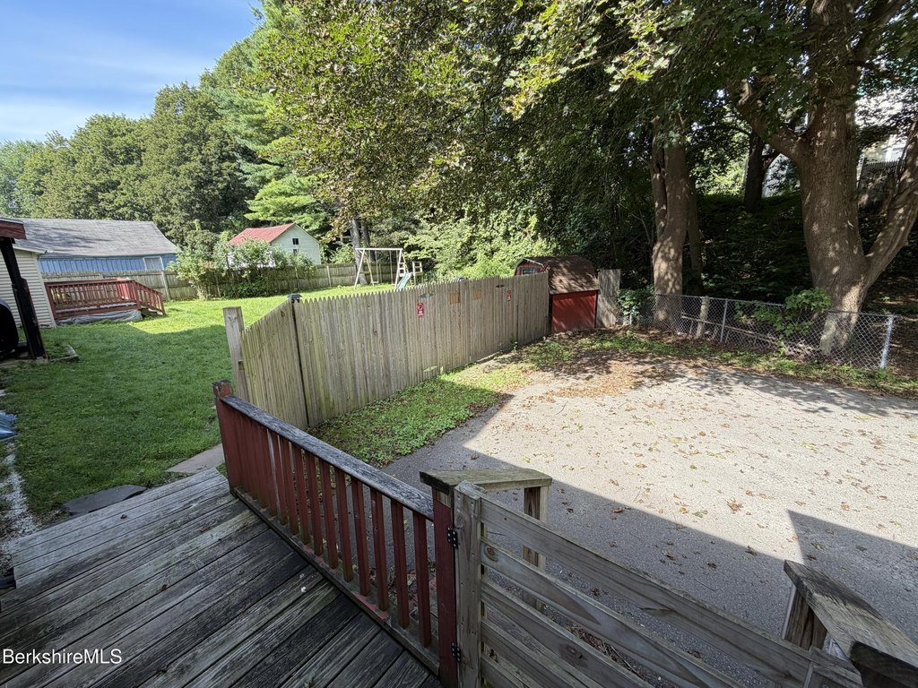 Picture 5