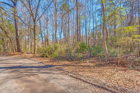 Johns Island Land For Sale