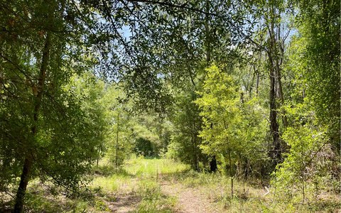 LAND - OBrien, FL
