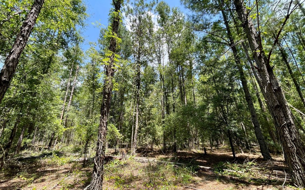 Picture 10