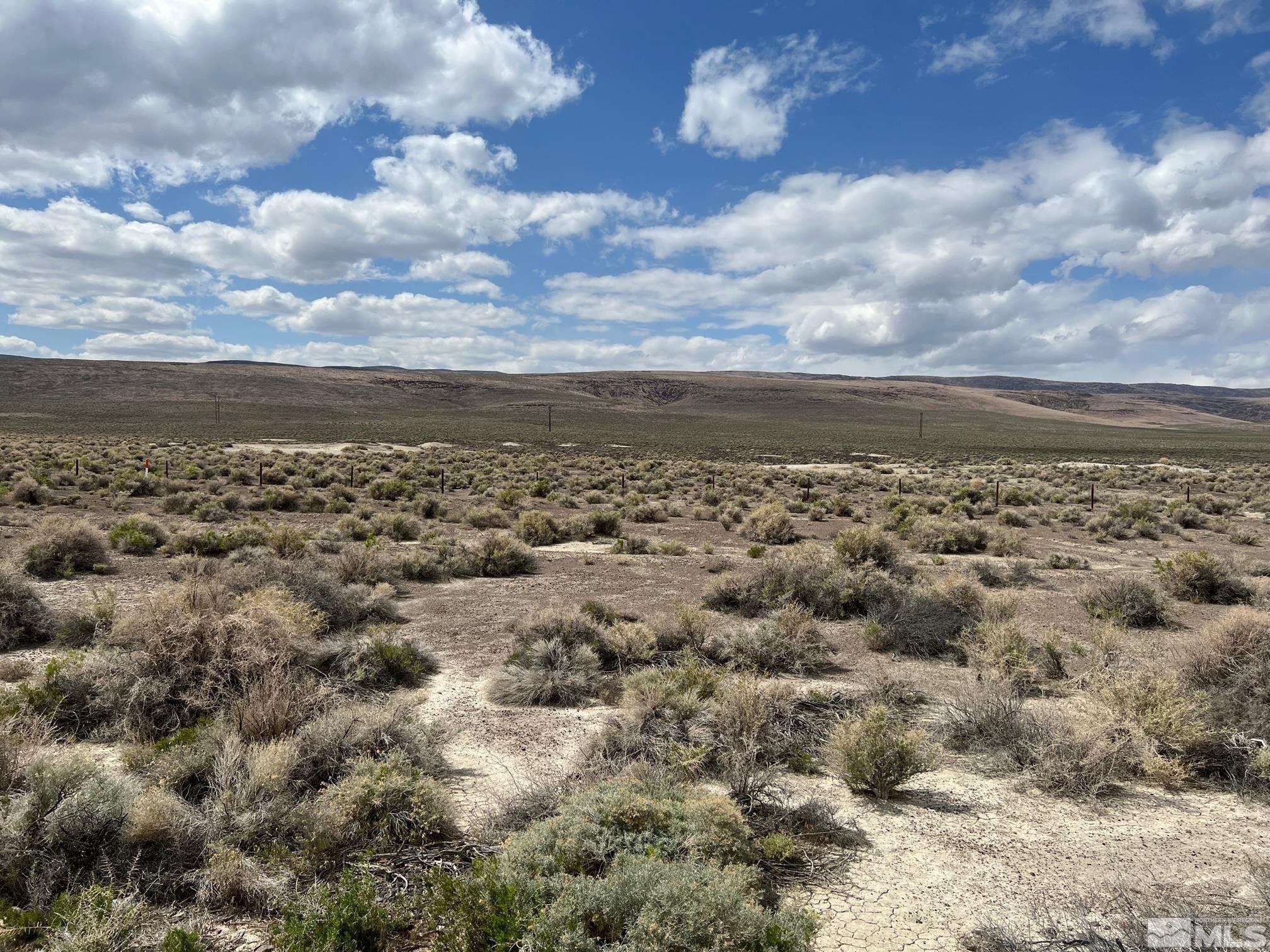 589.56 Acres on Highway 80