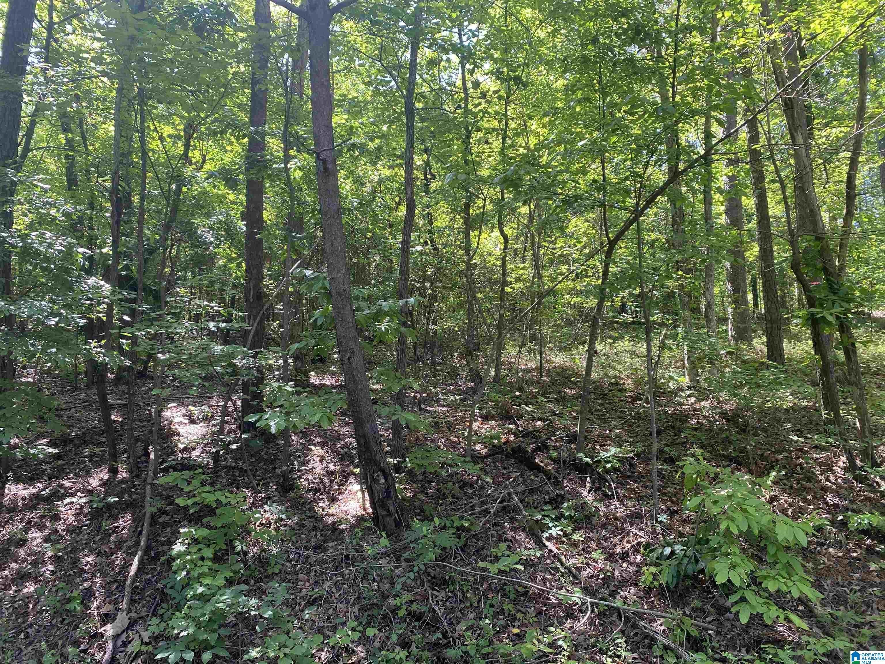 Land Near Lake in Brookwood