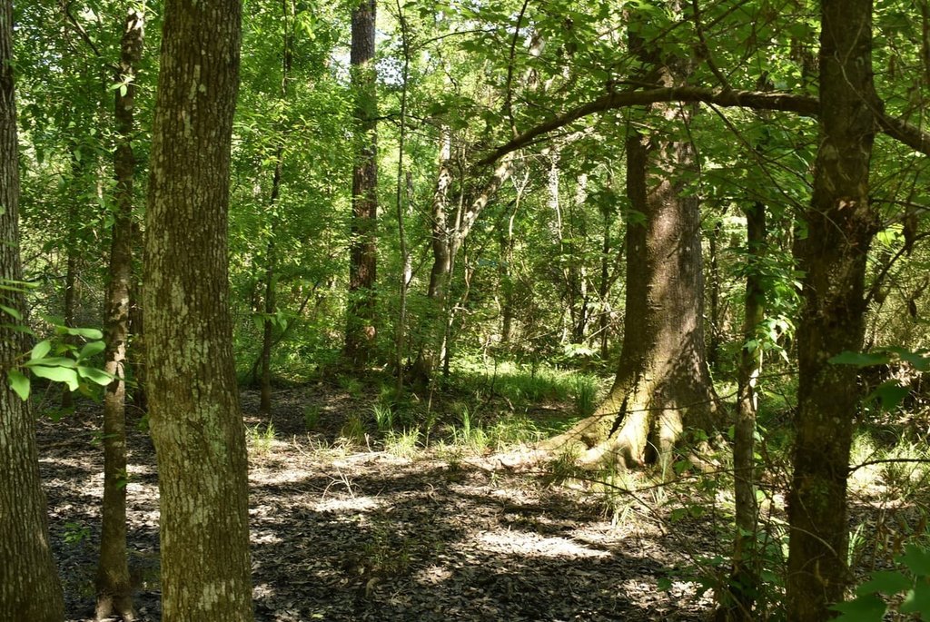 Picture 11