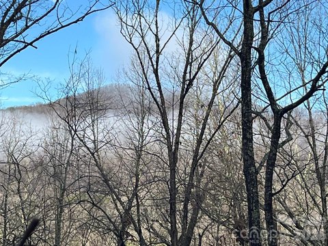 Lake Lure Land Parcel