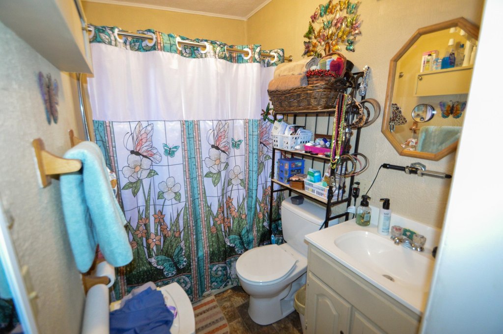Picture 14