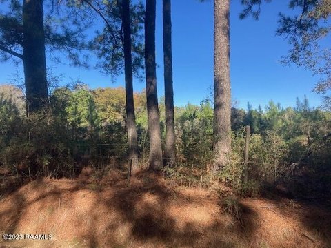 Land, Eunice, LA