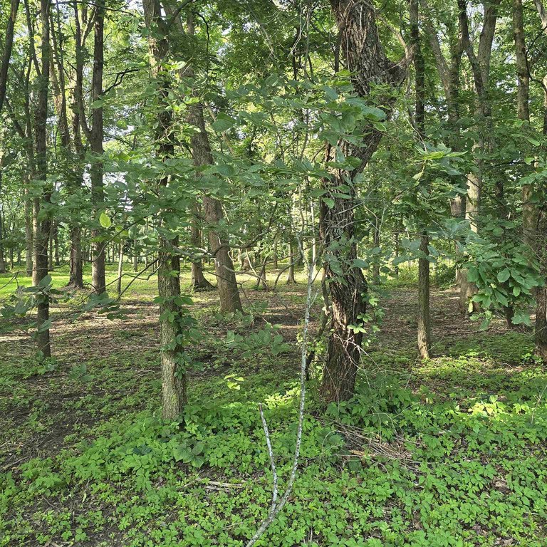 Picture 10