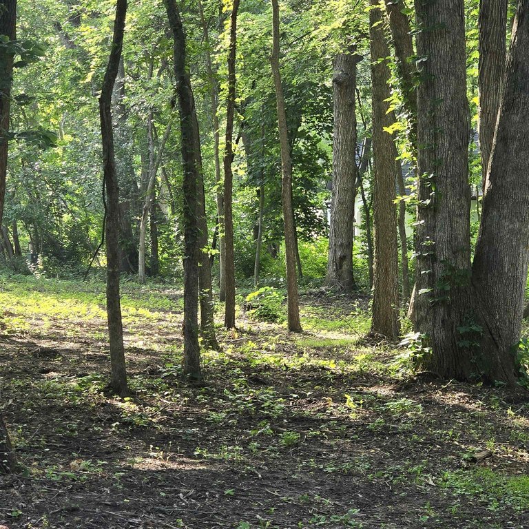 Picture 7
