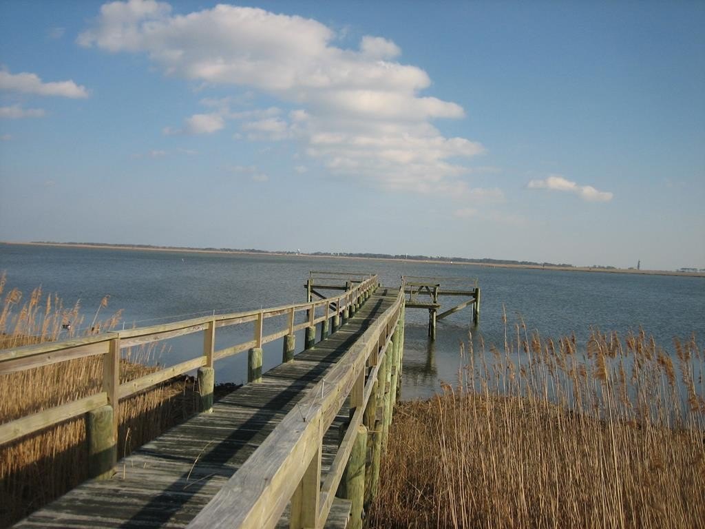 Picture 17